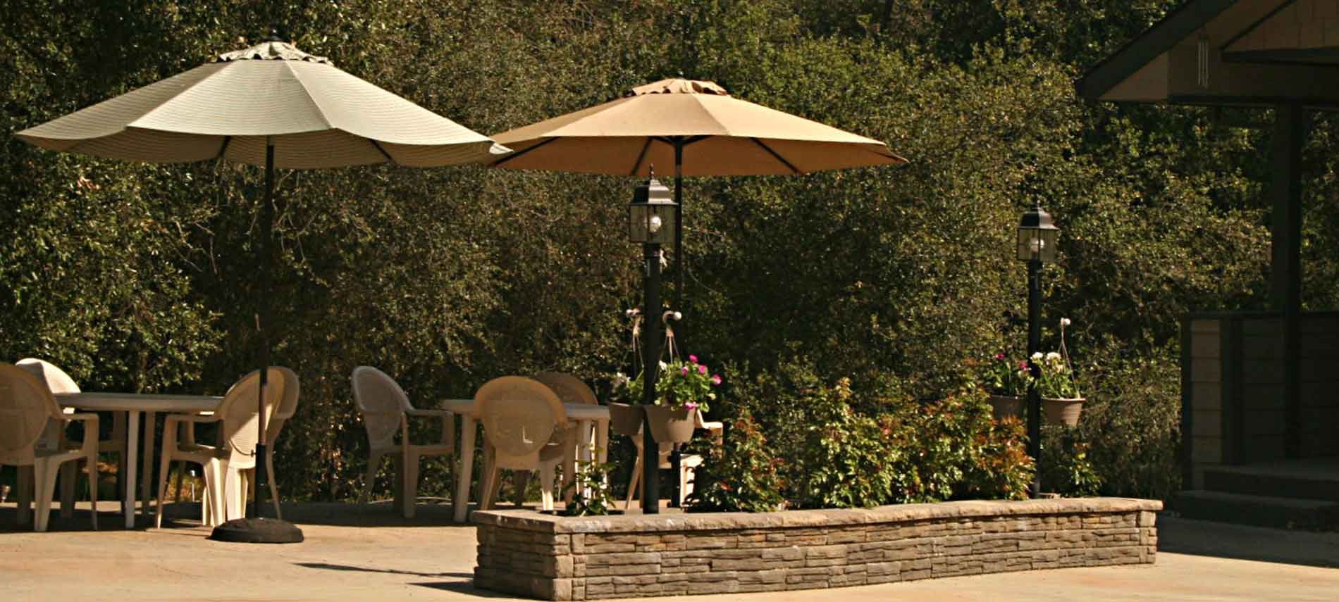 Patio with tables & umbrellas with the woods in the background