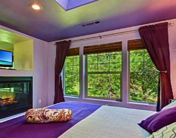 Vineyard Suite