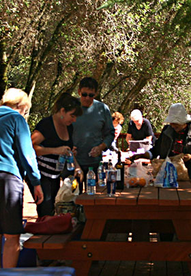 Two groups of people setting up their picnics on large redwood picnic tables